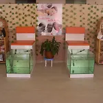 Begonville Hotel 3*